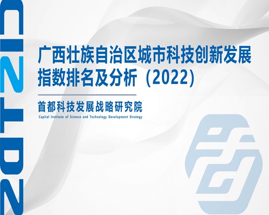 操B视频网站【成果发布】广西壮族自治区城市科技创新发展指数排名及分析（2022）